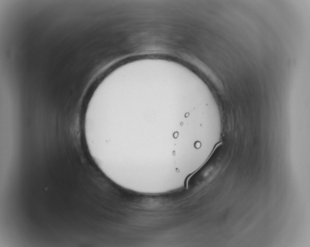 X0000101651364200808071106