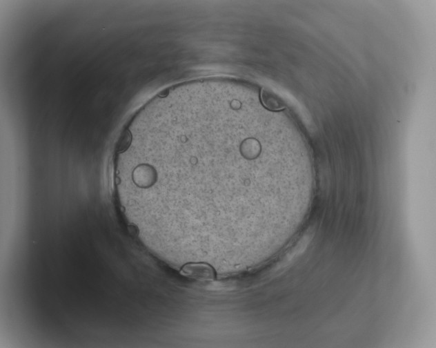 X0000101651365200808071106