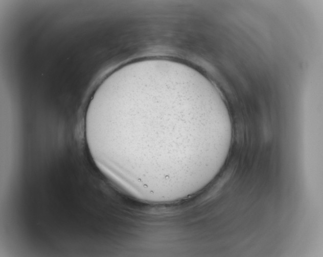 X0000101651366200808071106