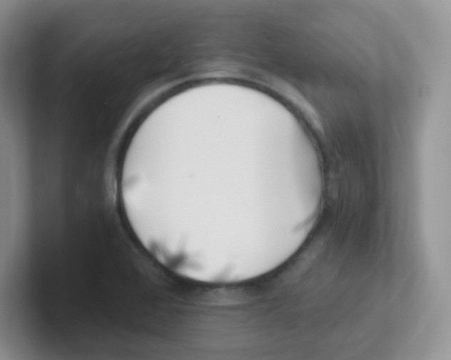 X0000101651368200808071106