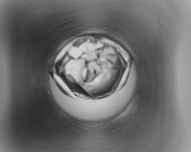 X0000101651369200808071106