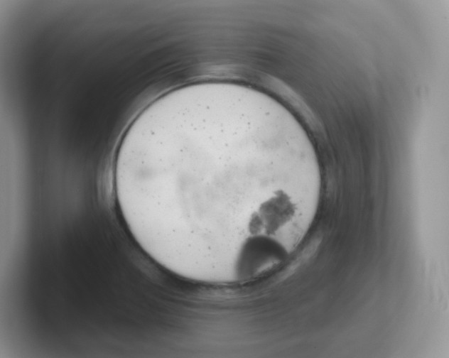 X0000101651370200808071105