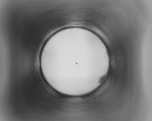 X0000101651372200808071105