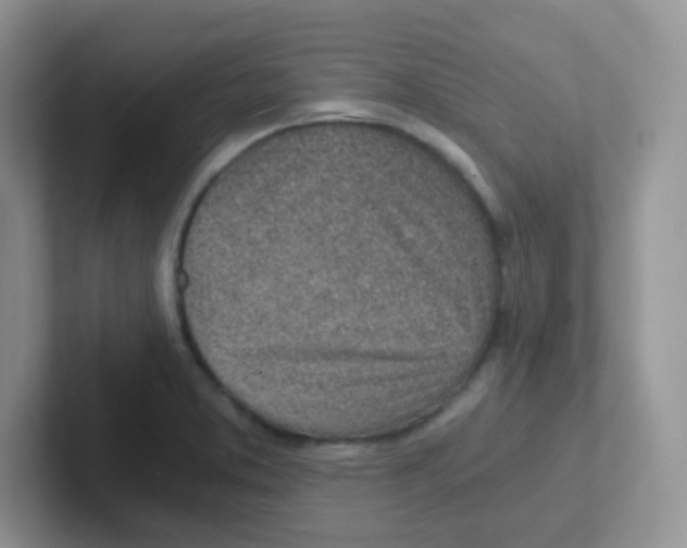 X0000101651373200808071105