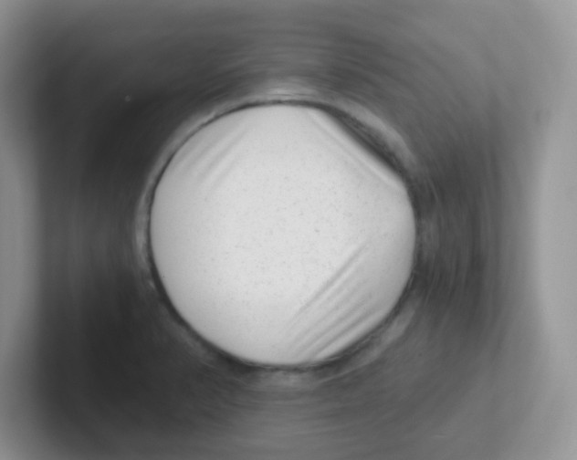 X0000101651374200808071105