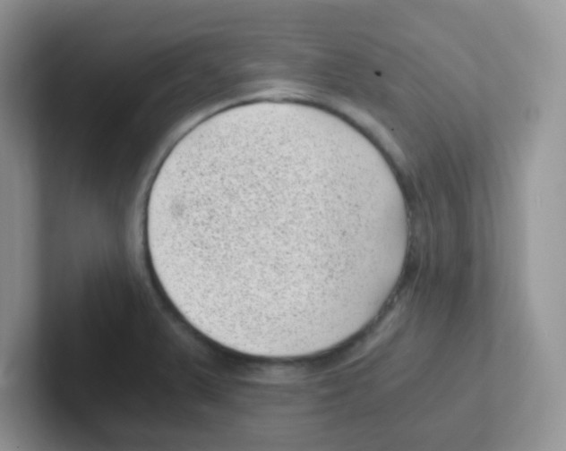 X0000101651375200808071105