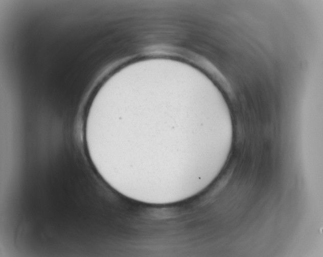 X0000101651376200808071105