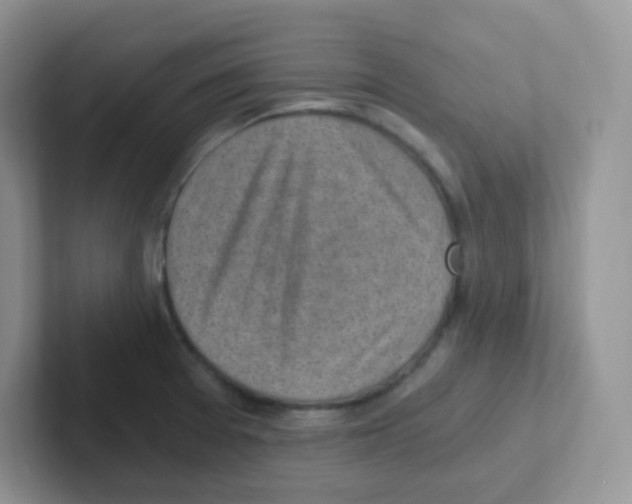 X0000101651377200808071105