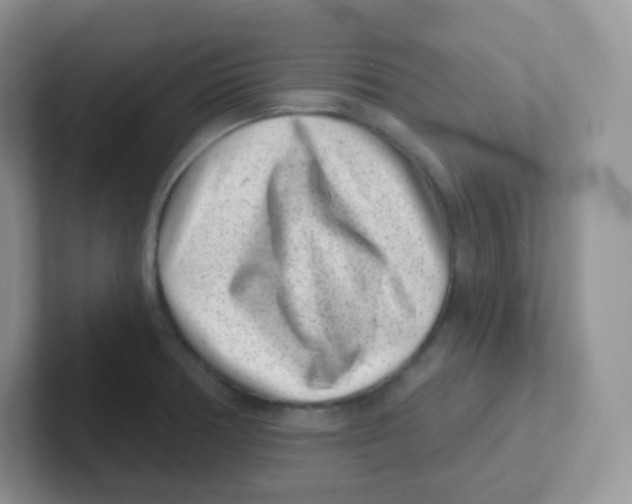 X0000101651378200808071105