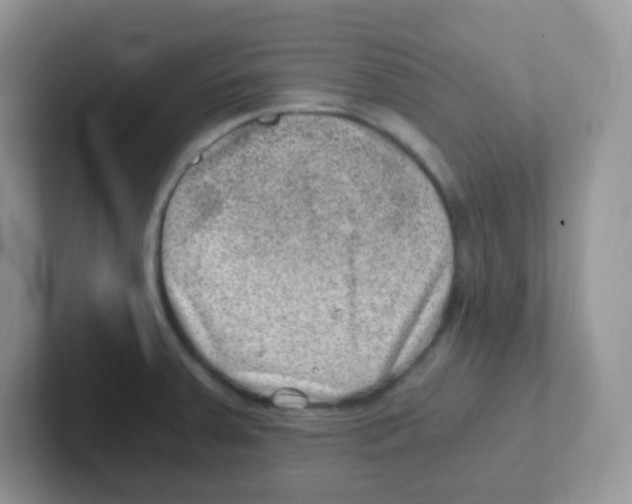 X0000101651379200808071105