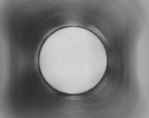 X0000101651380200808071105