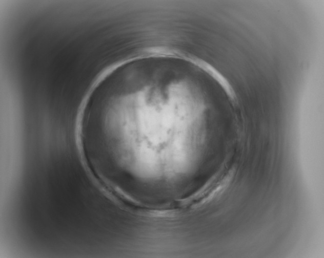 X0000101651381200808071105