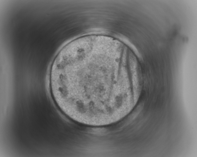 X0000101651383200808071105