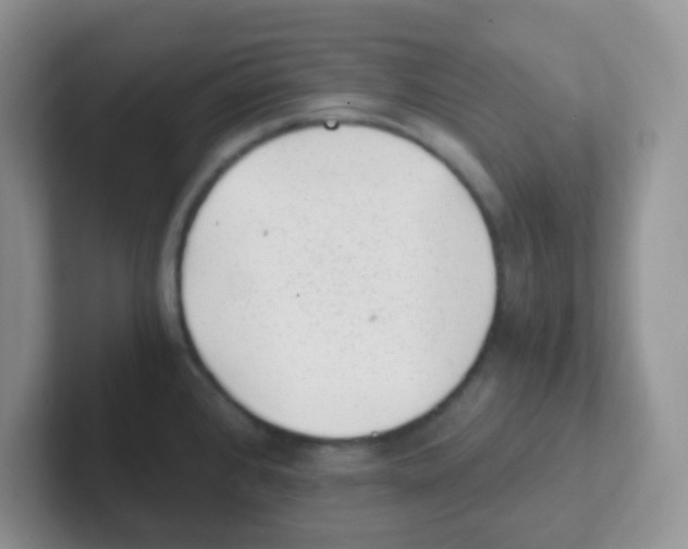 X0000101651384200808071105