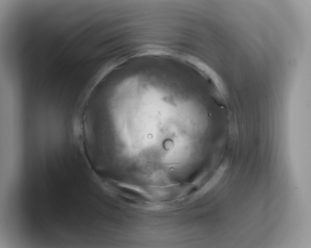 X0000101651385200808071105