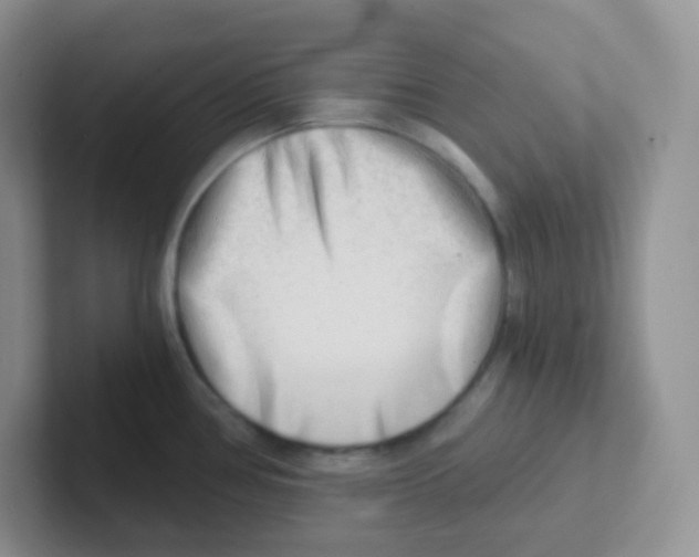 X0000101651386200808071105