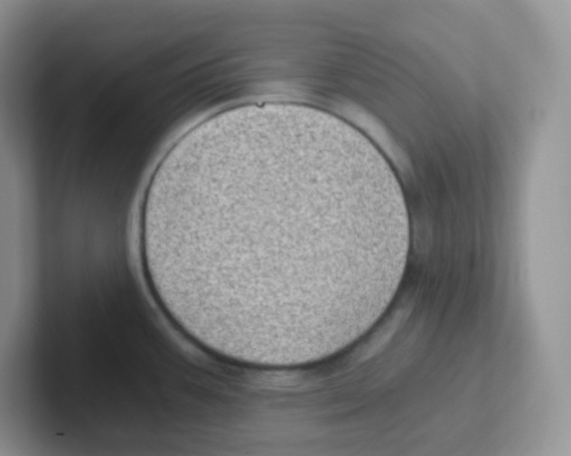 X0000101651387200808071105