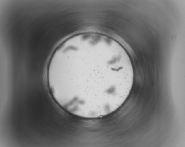 X0000101651388200808071105