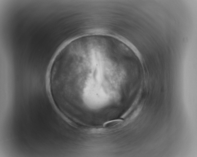 X0000101651389200808071105