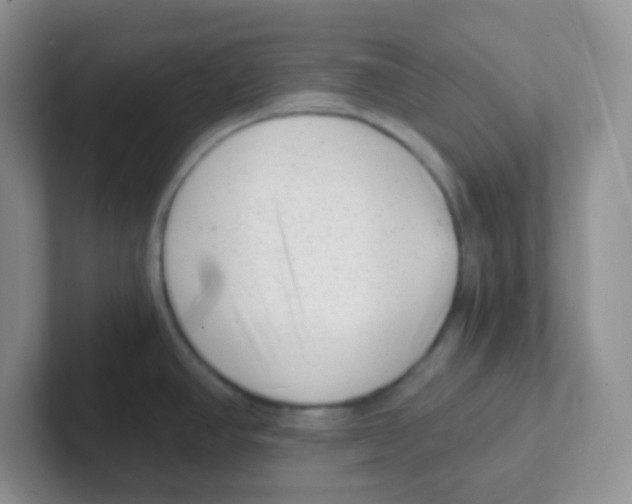 X0000101651390200808071105