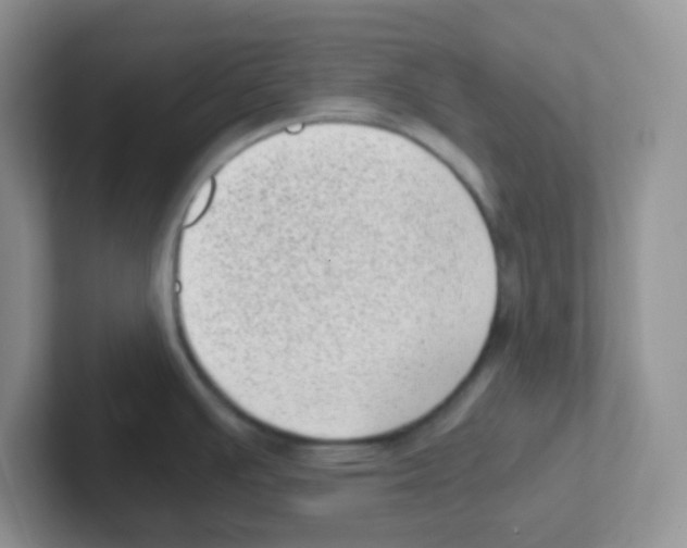 X0000101651391200808071105