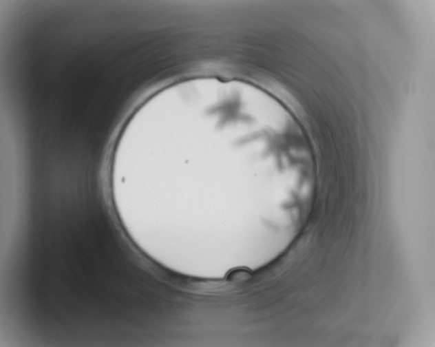 X0000101651392200808071105