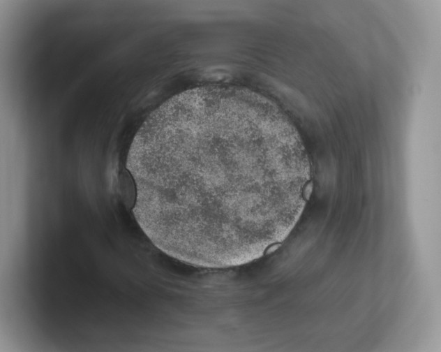 X0000101651394200808071105