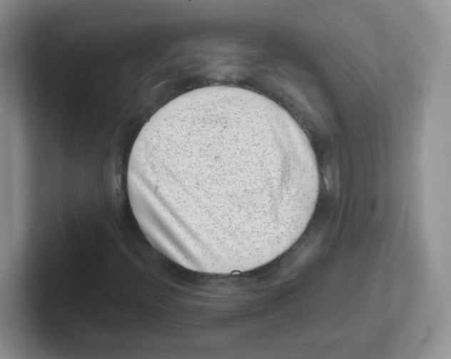 X0000101651396200808071105