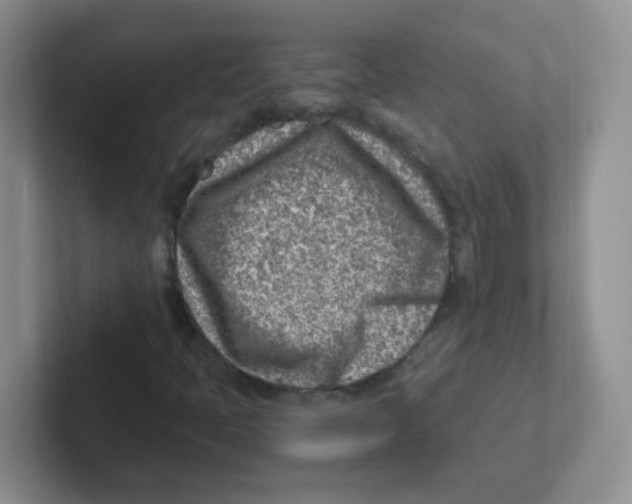 X0000101651397200808071105