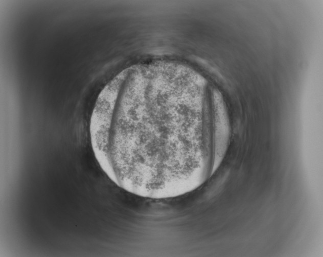 X0000101651398200808071105