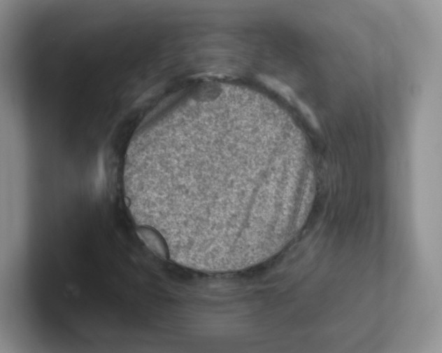 X0000101651399200808071105