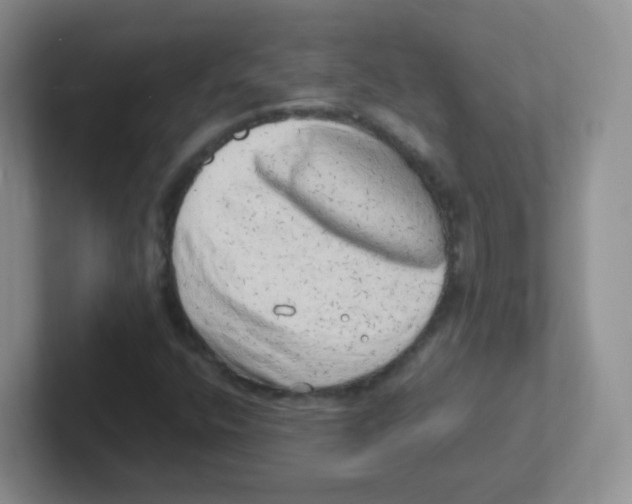 X0000101651400200808071105