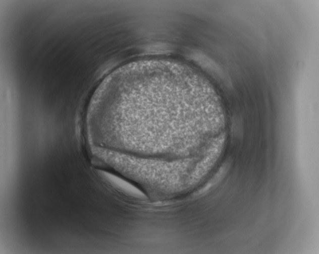 X0000101651401200808071105