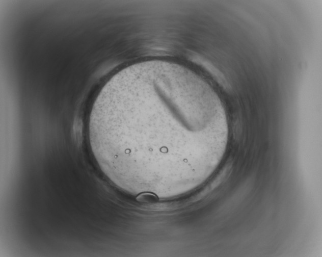 X0000101651402200808071105