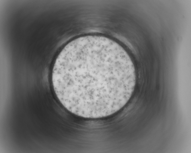 X0000101651404200808071105