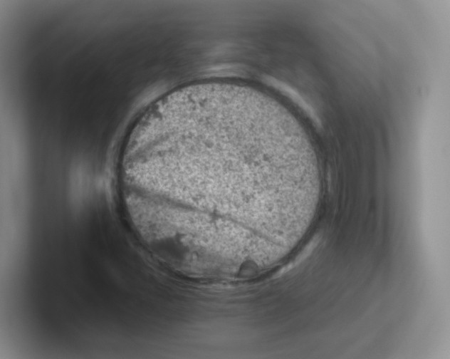 X0000101651405200808071105