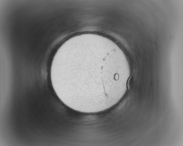 X0000101651406200808071105