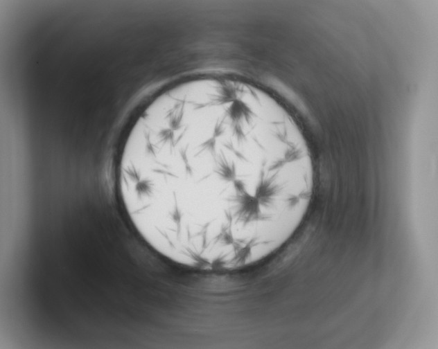 X0000101651408200808071105