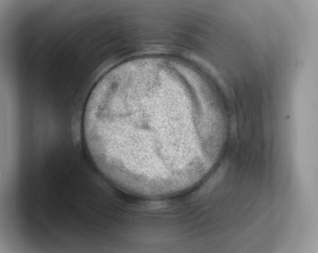 X0000101651409200808071105