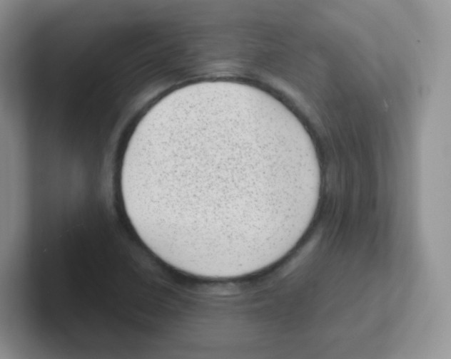 X0000101651410200808071105