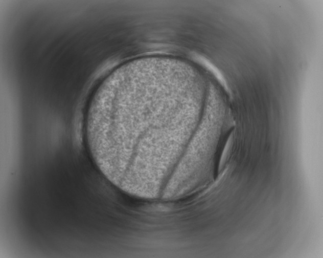 X0000101651411200808071105