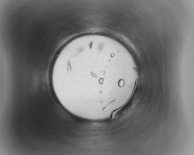 X0000101651412200808071105