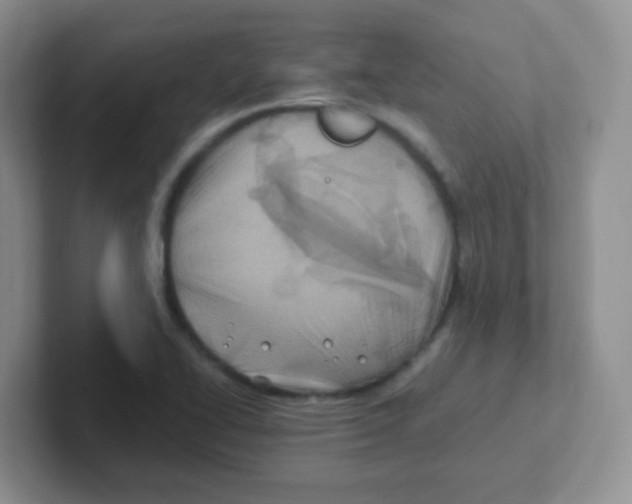 X0000101651414200808071105