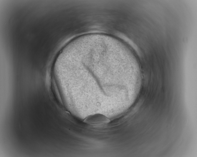 X0000101651415200808071105