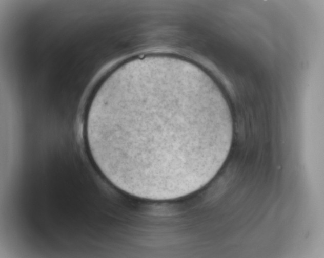 X0000101651416200808071105