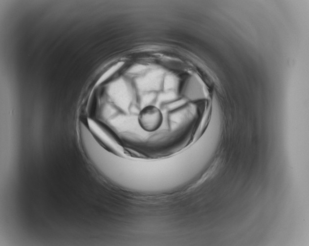 X0000101651417200808071105