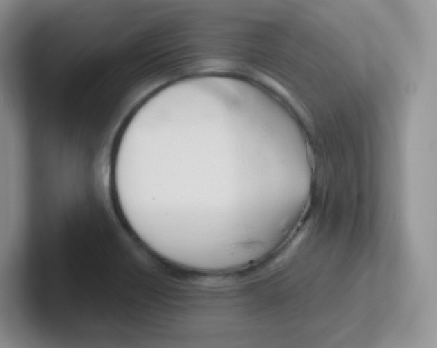 X0000101651418200808071105