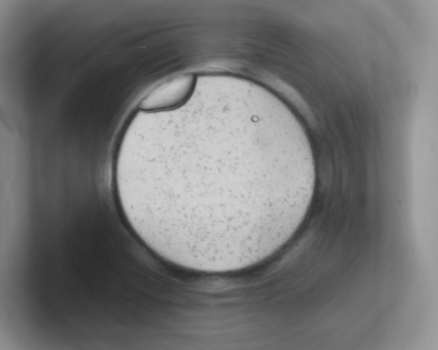 X0000101651420200808071105
