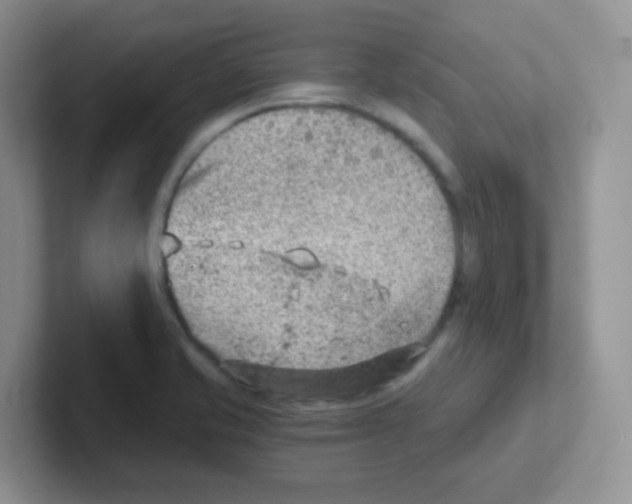 X0000101651421200808071105