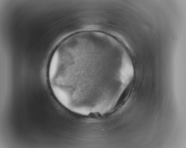 X0000101651422200808071105